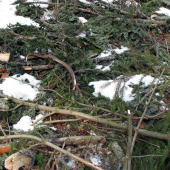 12-torák z pod Klobúka