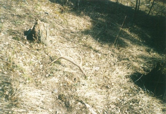 Slnečný (z archívu)