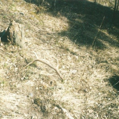 Slnečný (z archívu)