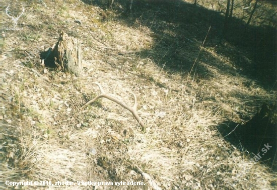 Slnečný (z archívu)