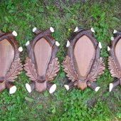 podložky pod trofeje