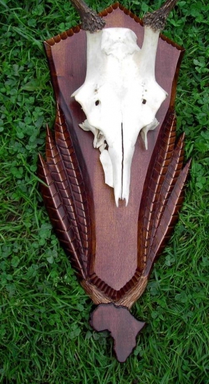 pod africke trofeje / na mieru/