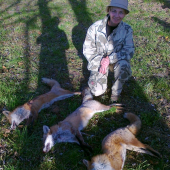 spoločná na bažanty