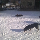 ...ako je mi horúco