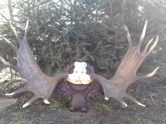 dalsia trofej do zbierky