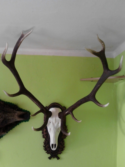 202bc.i.c do zbierky