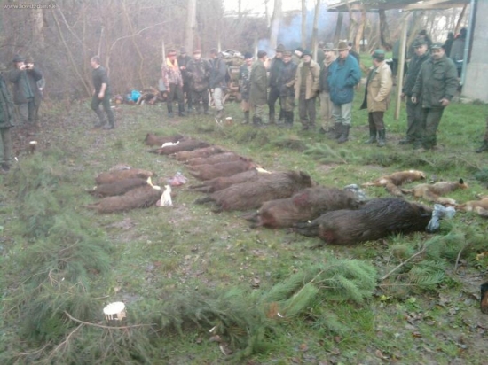 spoločna polovačka