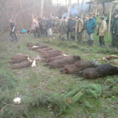 spoločna polovačka