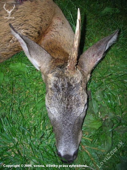 říje 2007