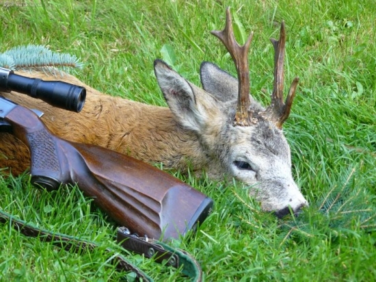 letošní první - detail