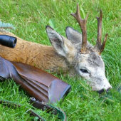 letošní první - detail