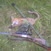 konečně po dlouhé době