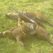 úspěšná čekaná