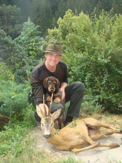 Môj srnček III.v.tr. z pod Kriváňa!