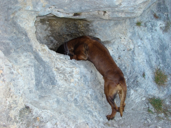 Keď na Ohništi v skalách vysmedneš!