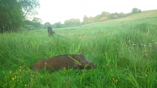 Krásne Liptovské ráno.