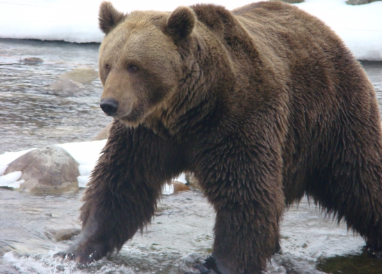 Starý pán po prebudení!