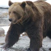 Starý pán po prebudení!