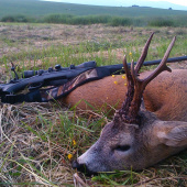 Môj liptovský križiak z roku 2015