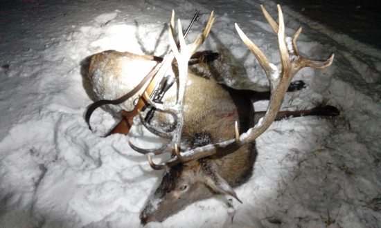 Ruky lovca sa stále trasú, jeho vášeň utícha, kraj oka sa leskne slza a .....