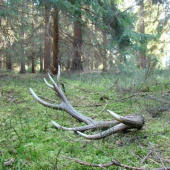 Včerajší 14-torák!