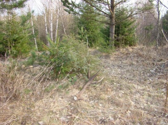 Aj teraz sa nájdu krásne zhody!