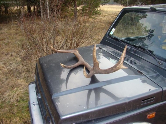 Dnešný 12-torák - 3,40kg