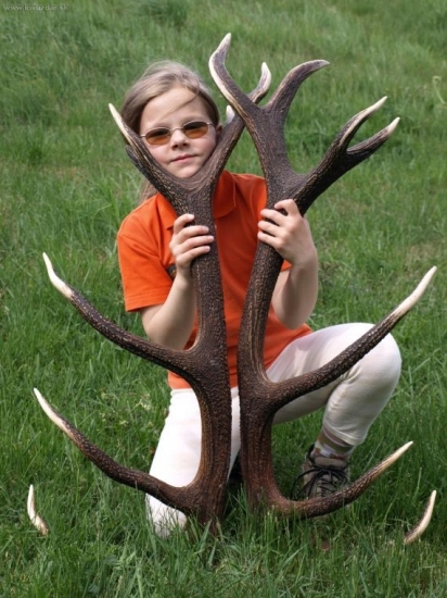 moje zlato drží striebro