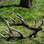 dnešná prechádzka 205b