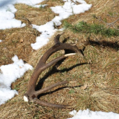 prvý tohto roku,14-2,5kg