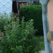 Kde hniezdi hrdlička.