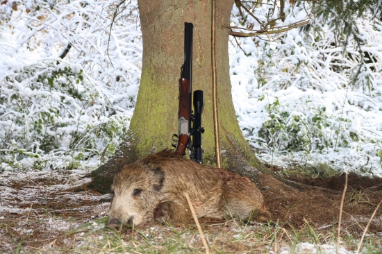 Šoulačka na prvním sněhu..