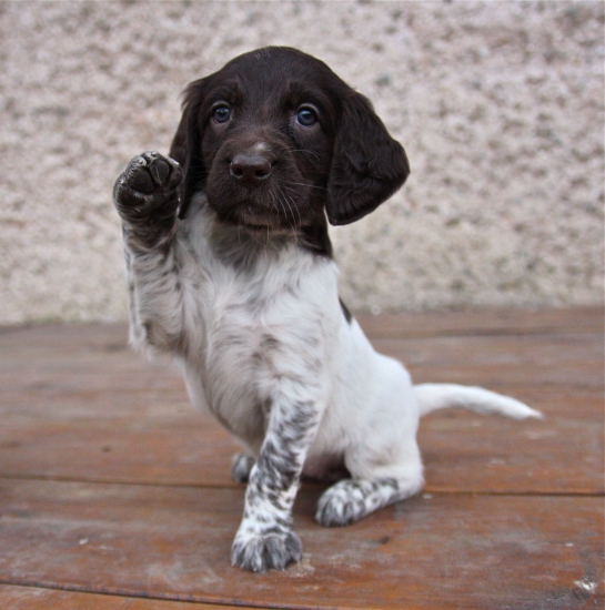 Tak vás tady zdravím