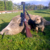 šoulačka dnešní noci ...