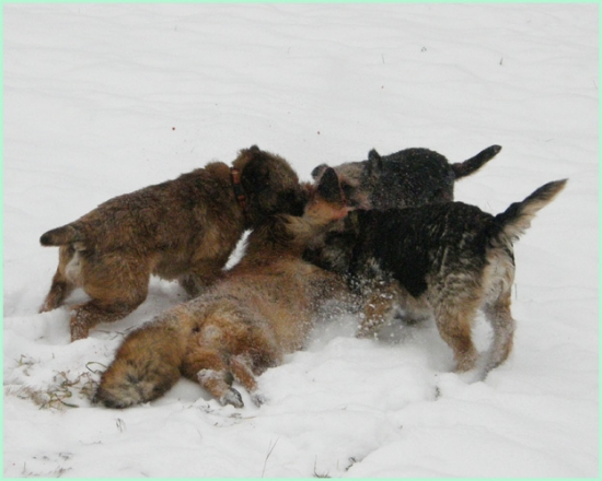 A je venku z nory...