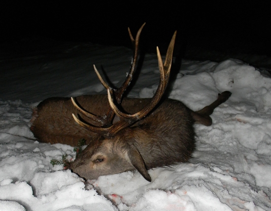 Na poslední chvíli