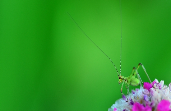 sedim si na kvetine a je mi dobre