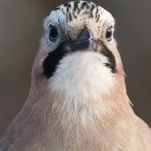 foto na obciansky :D