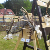 zadrátovaný