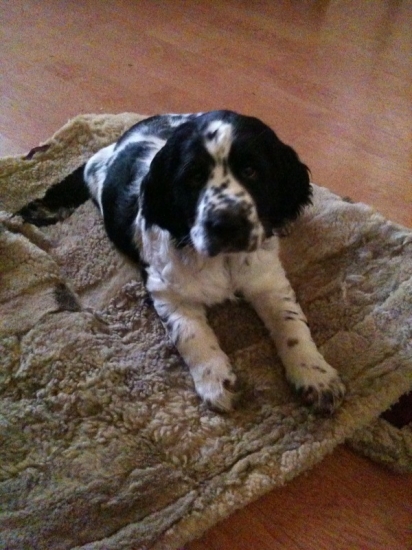 Gora z Úpatí džbánu