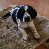 Gora z Úpatí džbánu