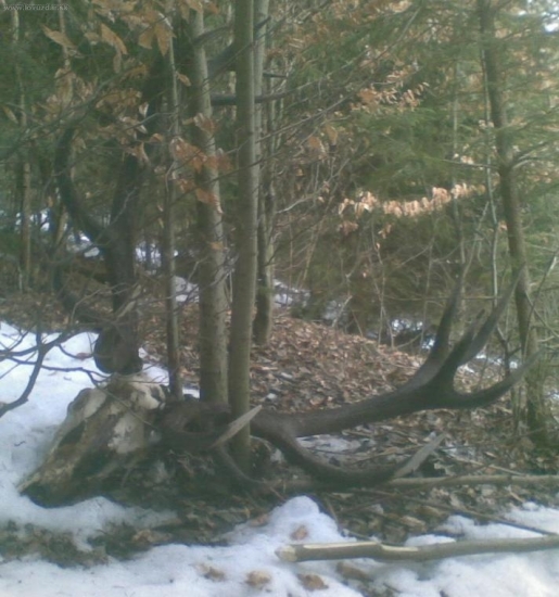 pašák XXL  210,34 C.I.C.