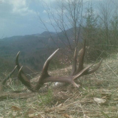 konečne-tohtoročné