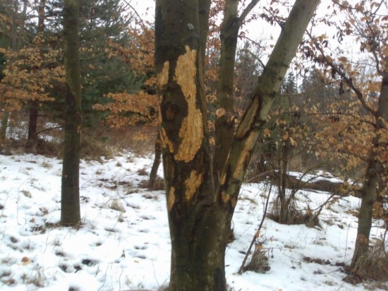 od čoho to može byt????