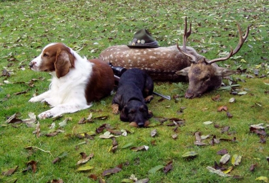 hlídači ( starší fotka 2005 )