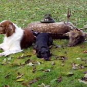 hlídači ( starší fotka 2005 )