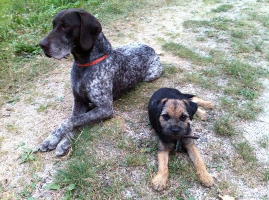 Cherka a ....socializácia