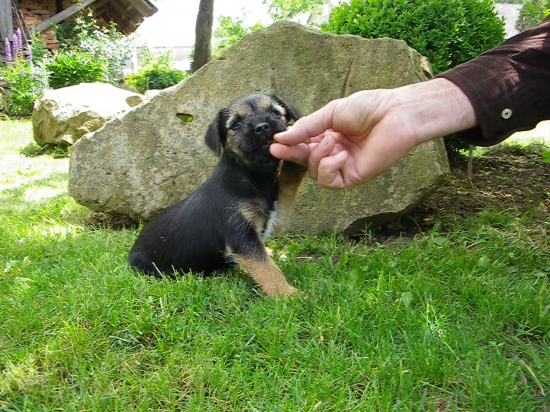 ..no už pusť,už je medzi oboma P-trojkami