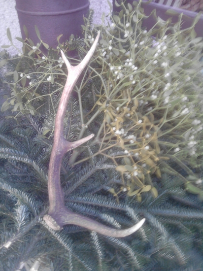 zo sobotňajšej spoločnej