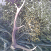 zo sobotňajšej spoločnej